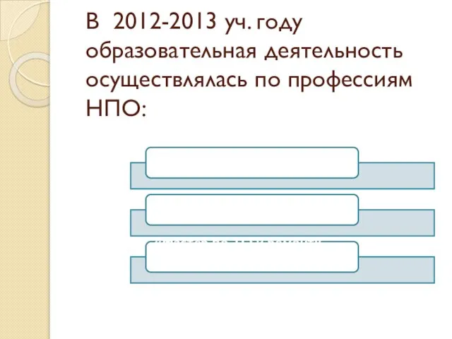 В 2012-2013 уч. году образовательная деятельность осуществлялась по профессиям НПО: