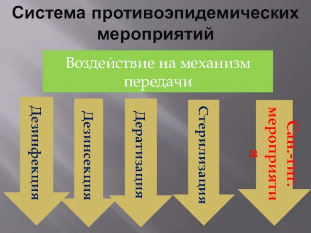 Система противоэпидемических мероприятий Воздействие на механизм передачи Дезинфекция Стерилизация Дезинсекция Дератизация Сан.-гиг. мероприятия