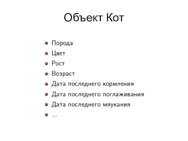 Объект Кот