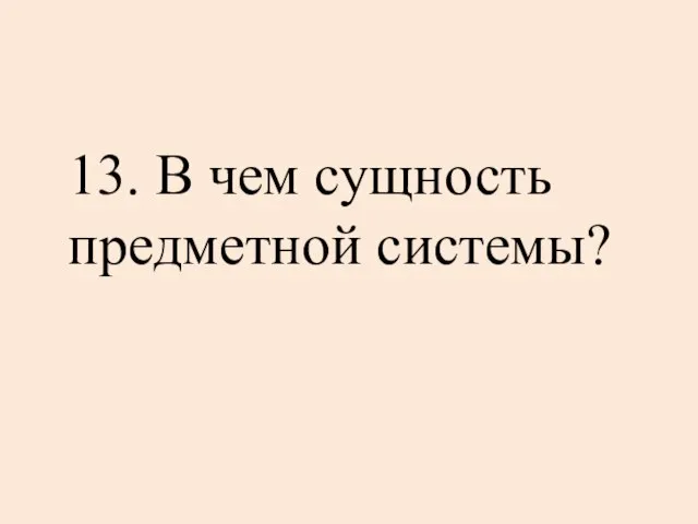 13. В чем сущность предметной системы?