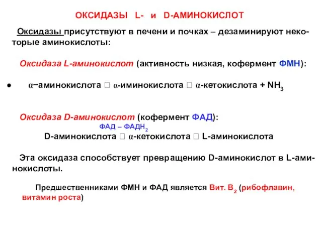 ОКСИДАЗЫ L- и D-АМИНОКИСЛОТ Оксидазы присутствуют в печени и почках – дезаминируют