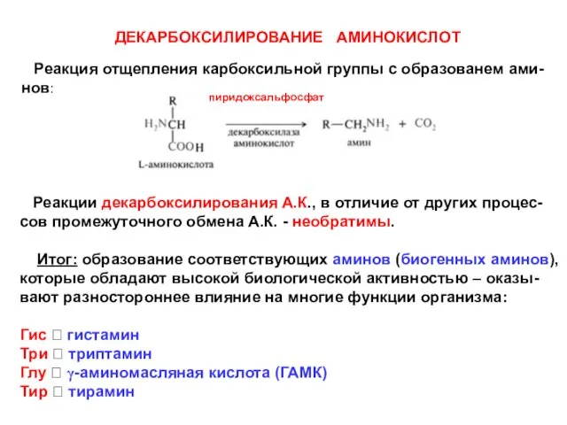 ДЕКАРБОКСИЛИРОВАНИЕ АМИНОКИСЛОТ Реакция отщепления карбоксильной группы с образованем ами- нов: пиридоксальфосфат Реакции