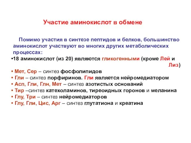 Участие аминокислот в обмене Помимо участия в синтезе пептидов и белков, большинство