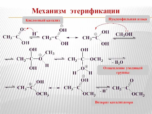 Механизм этерификации Кислотный катализ Нуклеофильная атака Возврат катализатора Отщепление уходящей группы