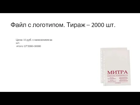 Файл с логотипом. Тираж – 2000 шт. Цена: 15 руб. с нанесением за шт. итого 15*2000=30000