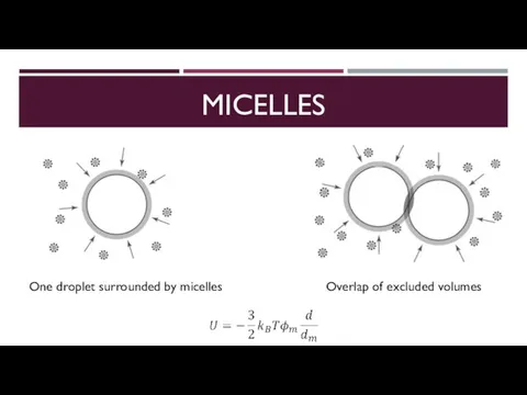 MICELLES One droplet surrounded by micelles Overlap of excluded volumes