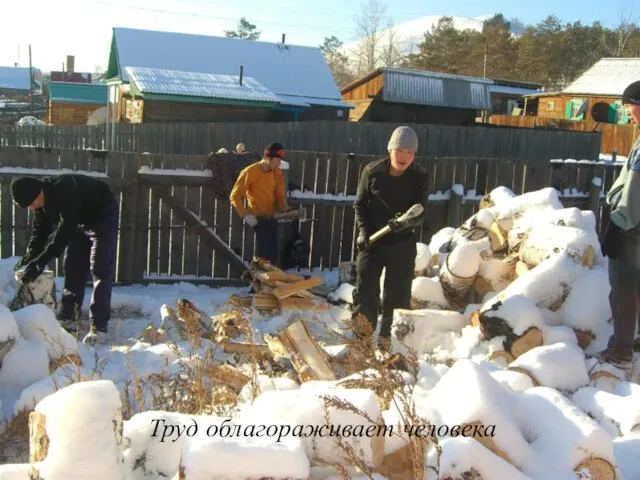 Труд облагораживает человека