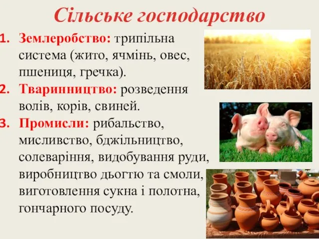 Сільське господарство Землеробство: трипільна система (жито, ячмінь, овес, пшениця, гречка). Тваринництво: розведення