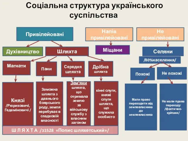 Соціальна структура українського суспільства /80%населення/ Похожі Шляхта Магнати Духівництво Привілейовані Не привілейовані