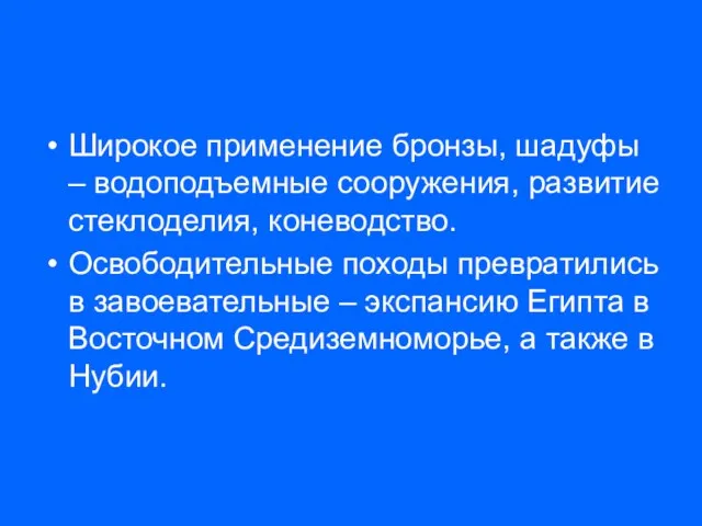 Широкое применение бронзы, шадуфы – водоподъемные сооружения, развитие стеклоделия, коневодство. Освободительные походы