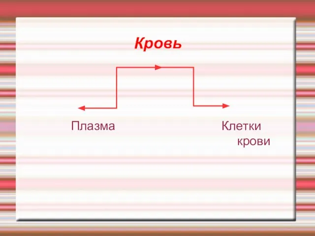 Кровь Плазма Клетки крови