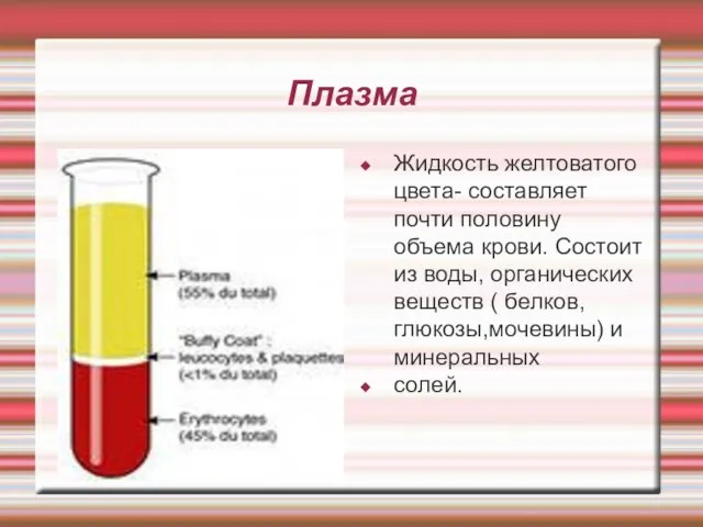 Плазма Жидкость желтоватого цвета- составляет почти половину объема крови. Состоит из воды,
