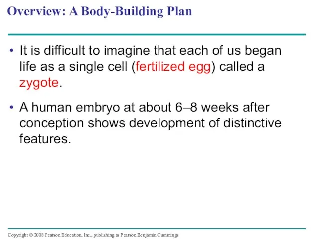Overview: A Body-Building Plan It is difficult to imagine that each of