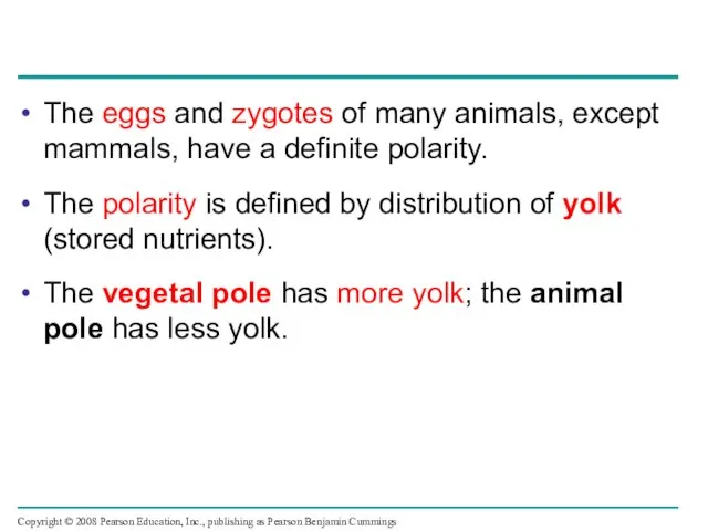 The eggs and zygotes of many animals, except mammals, have a definite
