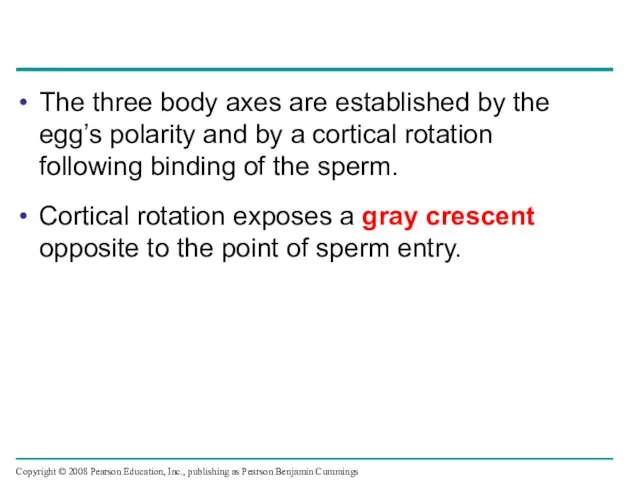 The three body axes are established by the egg’s polarity and by