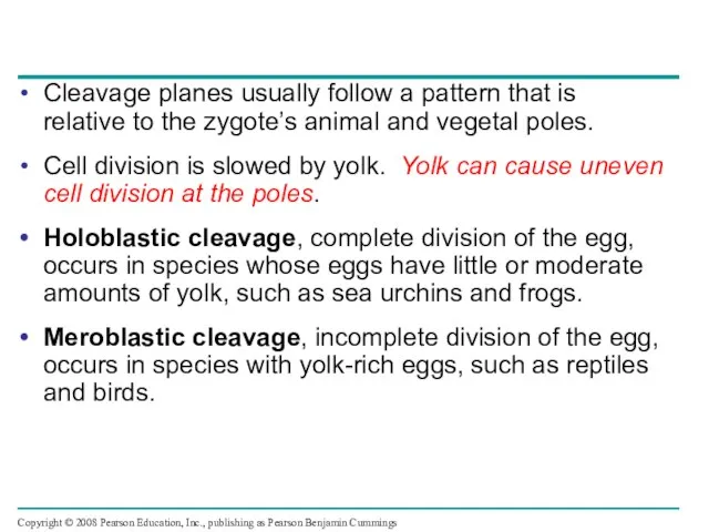 Cleavage planes usually follow a pattern that is relative to the zygote’s