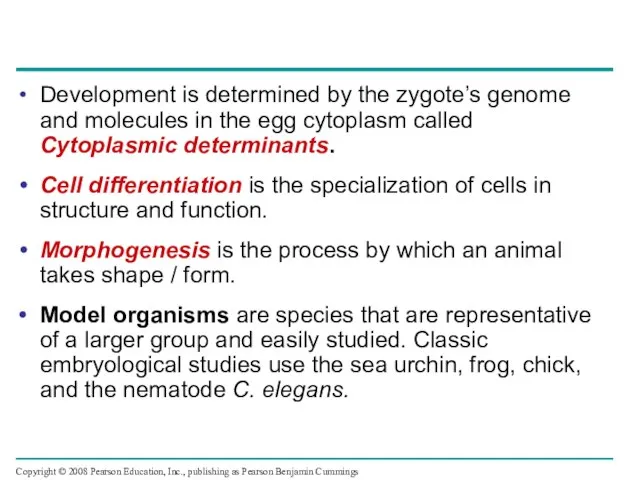 Development is determined by the zygote’s genome and molecules in the egg