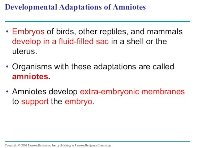 Developmental Adaptations of Amniotes Embryos of birds, other reptiles, and mammals develop