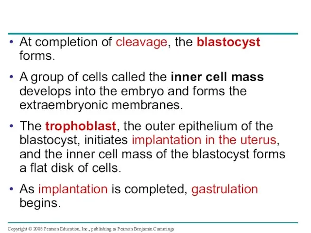 At completion of cleavage, the blastocyst forms. A group of cells called