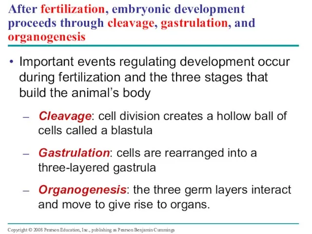 After fertilization, embryonic development proceeds through cleavage, gastrulation, and organogenesis Important events
