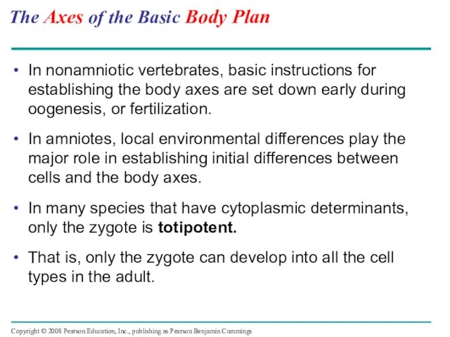 The Axes of the Basic Body Plan In nonamniotic vertebrates, basic instructions