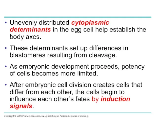 Unevenly distributed cytoplasmic determinants in the egg cell help establish the body