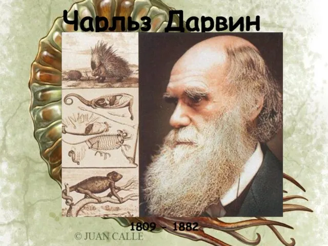 Чарльз Дарвин 1809 - 1882