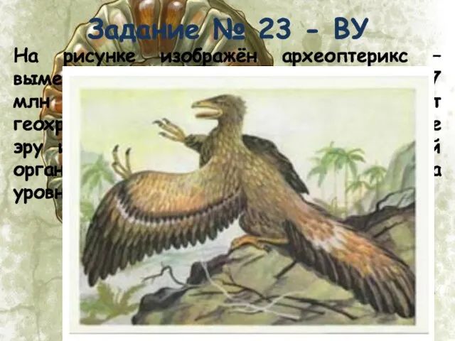 Задание № 23 - ВУ На рисунке изображён археоптерикс – вымершее животное,