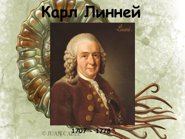 Карл Линней 1707 - 1778