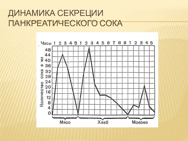 ДИНАМИКА СЕКРЕЦИИ ПАНКРЕАТИЧЕСКОГО СОКА