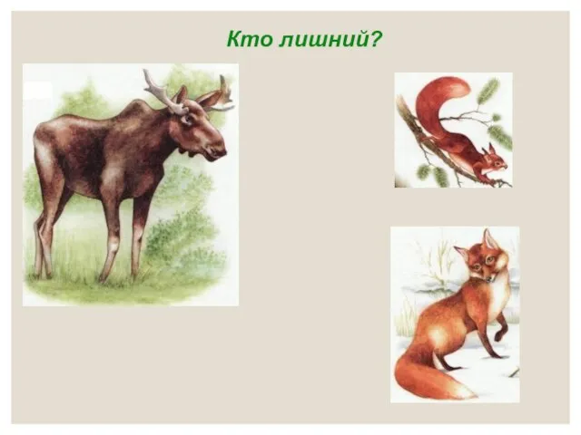 Кто лишний?