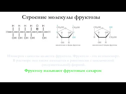 Строение молекулы фруктозы Изомером глюкозы является фруктоза. Фруктоза - это кетоноспирт. В