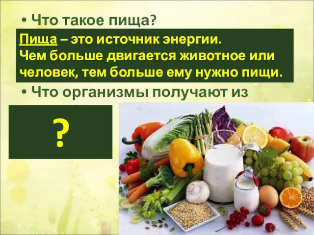 Что такое пища? Что организмы получают из пищи? Пища – это источник