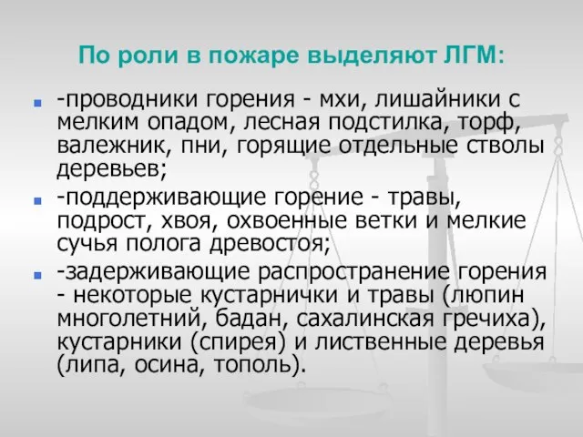 По роли в пожаре выделяют ЛГМ: -проводники горения - мхи, лишайники с