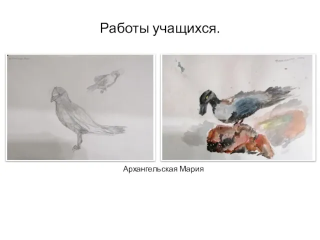 Работы учащихся. Архангельская Мария