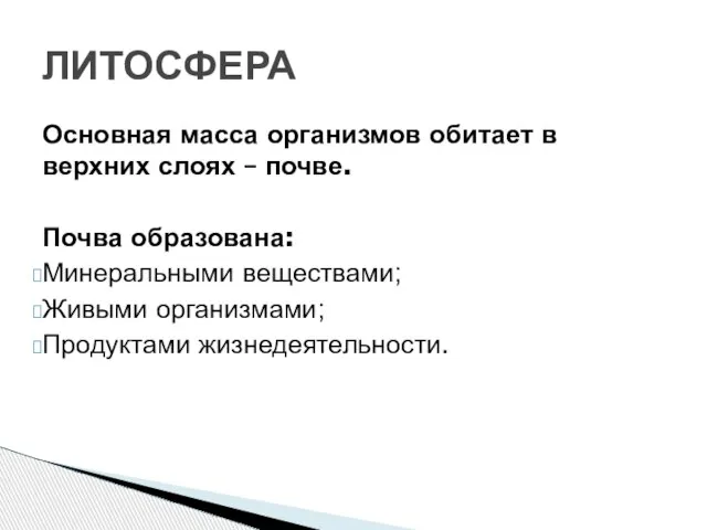 Основная масса организмов обитает в верхних слоях – почве. Почва образована: Минеральными