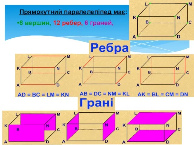 Прямокутний паралелепіпед має: 8 вершин, 12 ребер, 6 граней,