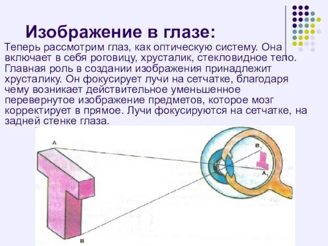 Изображение в глазе: Теперь рассмотрим глаз, как оптическую систему. Она включает в