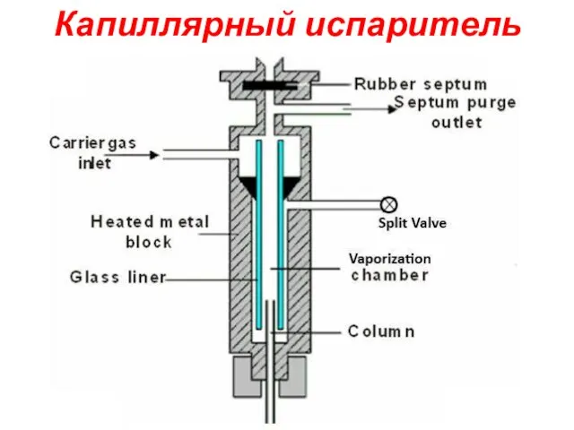 Капиллярный испаритель