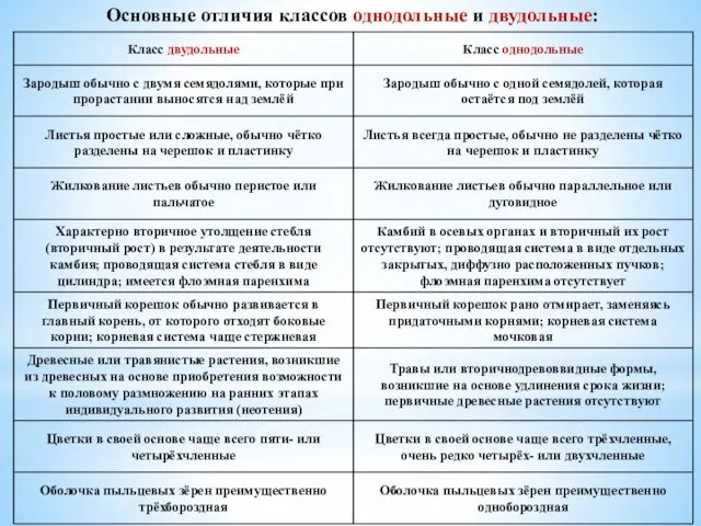 Основные отличия классов однодольные и двудольные: