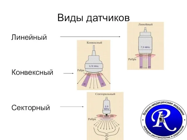 Виды датчиков Линейный Конвексный Секторный