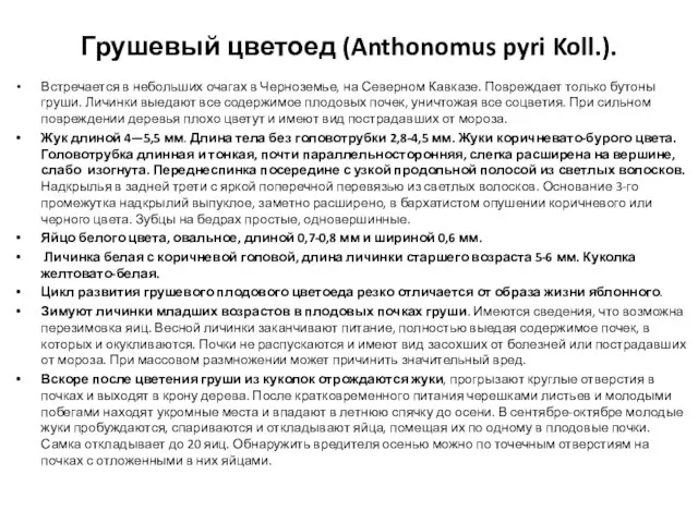 Грушевый цветоед (Anthonomus pyri Koll.). Встречается в небольших очагах в Черноземье, на