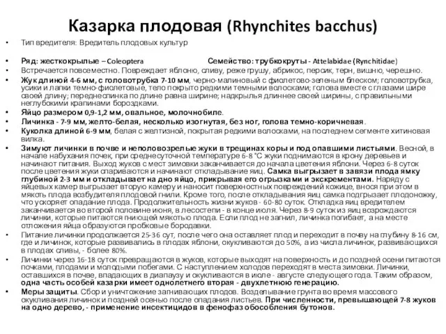 Казарка плодовая (Rhynchites bacchus) Тип вредителя: Вредитель плодовых культур Ряд: жесткокрылые –