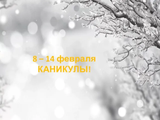 8 – 14 февраля КАНИКУЛЫ!