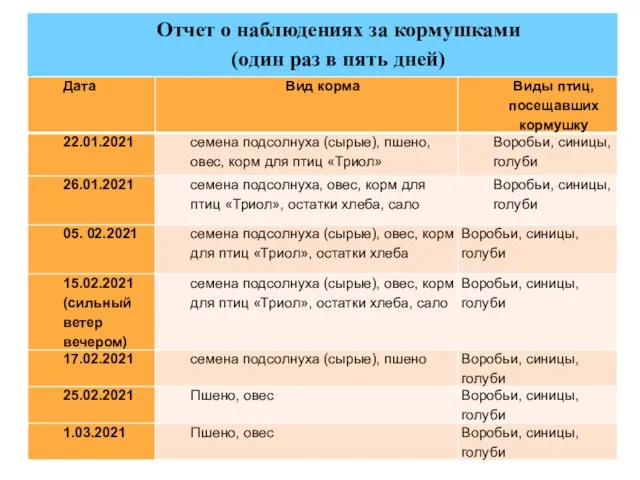 Отчет о наблюдениях за кормушками (один раз в пять дней)