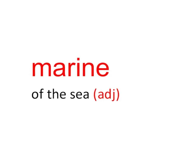 marine of the sea (adj)