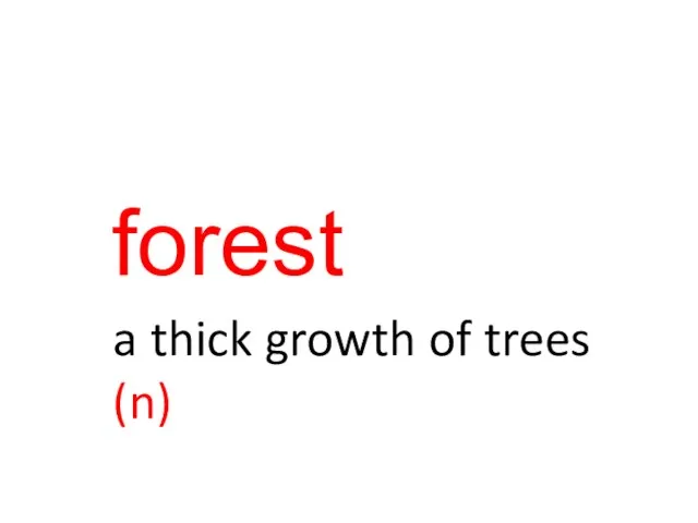 forest a thick growth of trees (n)