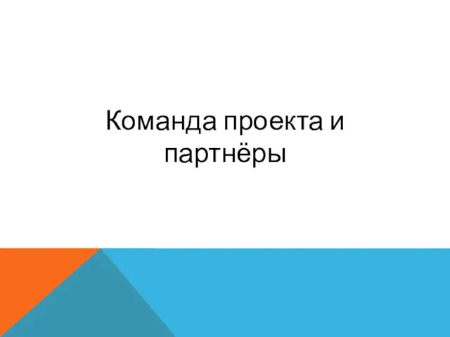 Команда проекта и партнёры