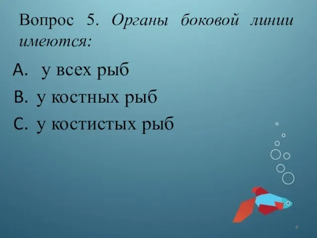 Вопрос 5. Органы боковой линии имеются: у всех рыб у костных рыб у костистых рыб