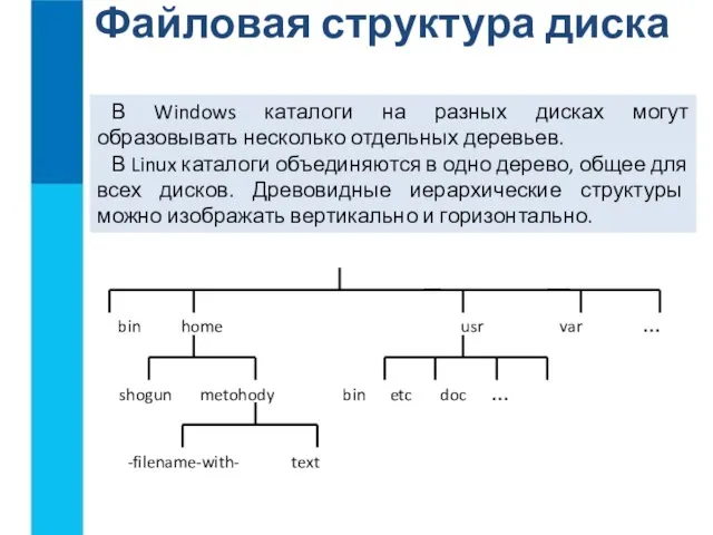 Файловая структура диска В Windows каталоги на разных дисках могут образовывать несколько